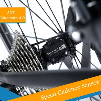 Bicikl Bežični Računalo Senzor takta Brzinomjer Bluetooth4.0/Ant Speed Dual Senzor takta Za GARMIN Wattch Za APLIKACIJE Bryton