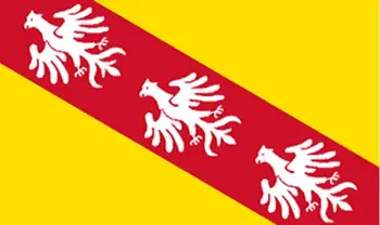 Francuska Regija Lorraine Zastava 3ft x 5ft Poliester Banner se Vijori 150*90 cm Korisničko zastava