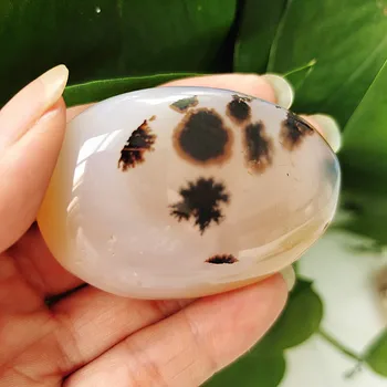 Prirodni Vodeni Biljka Ahat Kamen Palm Kamen Igračka Kamen Je Kamen, Za Yoga Vježbe Kamen Materijal Duhovna Meditacija Feng Shui Liječenje