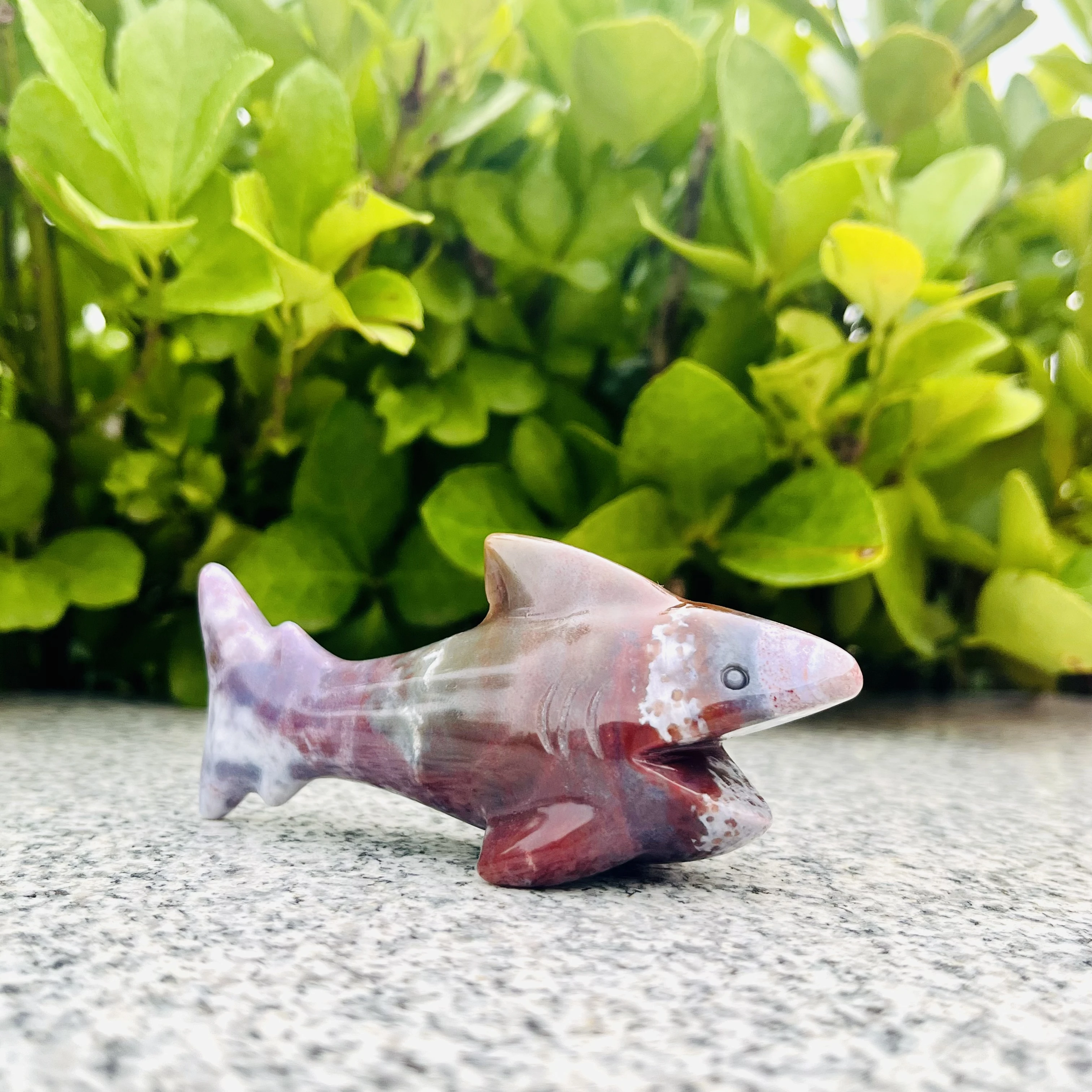 110 mm Prirodni kristali Morske Životinje Delfin Ocean Jaspis Kit navoj Morski pas kvarc kamen Akvarijske Ribe uređenje Igračke 1 kom. Slika 4