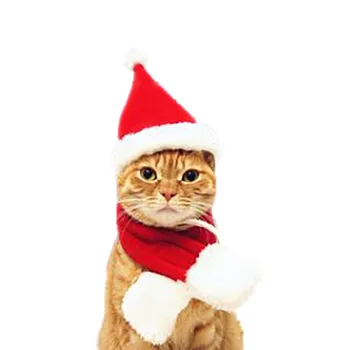 Božićna Kapa i Šal Set Za Mačke Psi Štene Božićni Kostimi Odjeća Dar Božićni Santa Crveni Kostim Za Kućne Ljubimce Zima 2021 Nova Godina